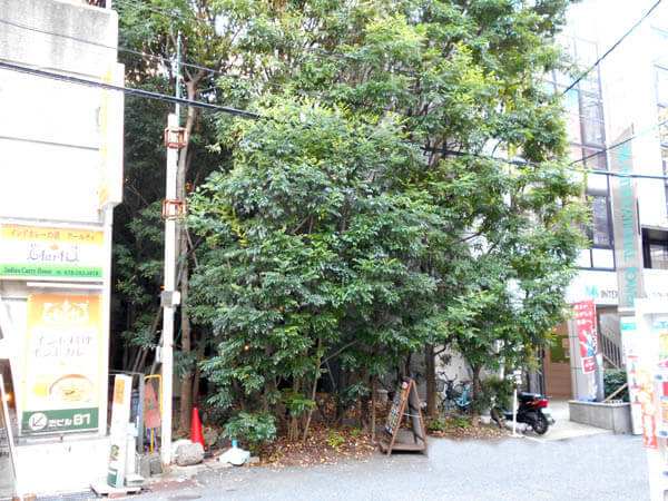 所有物件画像